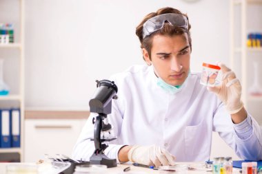 Erkek böcekbilimci laboratuvarda yeni türler üzerinde çalışıyor.