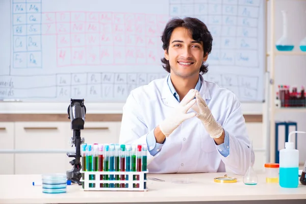 Jovem químico trabalhando no laboratório — Fotografia de Stock