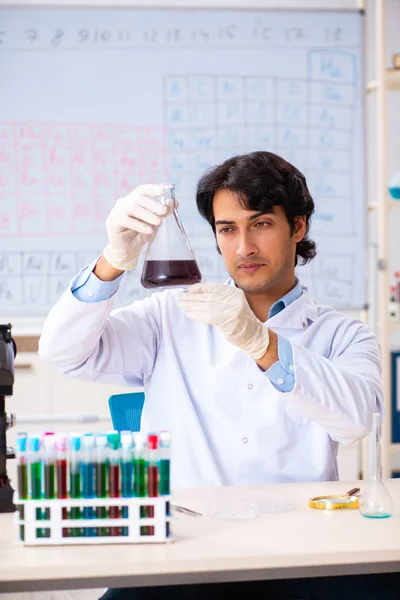 Jovem químico trabalhando no laboratório — Fotografia de Stock