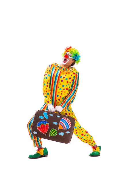Mannelijke Clown Geïsoleerd Wit — Stockfoto