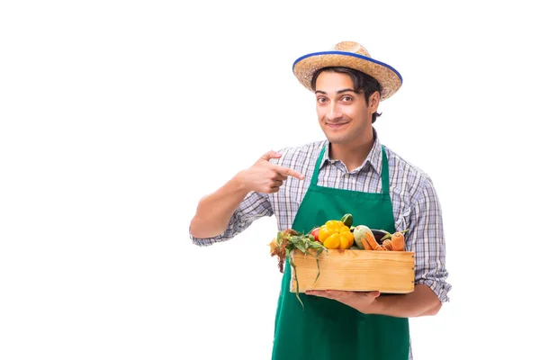 Jovem agricultor com produtos frescos isolados sobre fundo branco — Fotografia de Stock