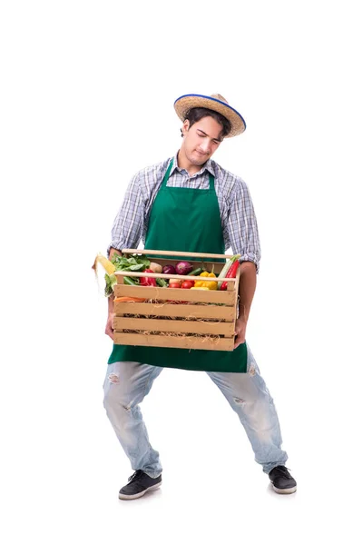 Jonge boer met verse producten geïsoleerd op witte achtergrond — Stockfoto