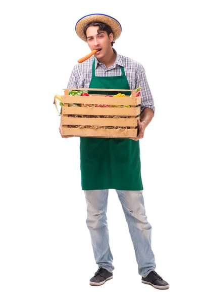 Joven agricultor con productos frescos aislados sobre fondo blanco —  Fotos de Stock