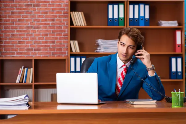 Junge hübsche Angestellte sitzen im Büro — Stockfoto