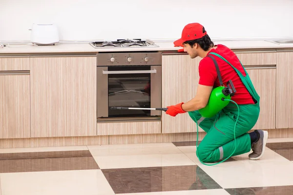 Kontraktor profesional melakukan pengendalian hama di dapur — Stok Foto