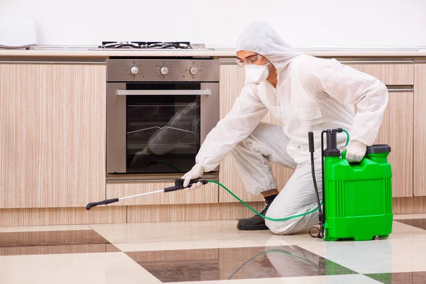 Profesyonel yüklenici mutfak at haşere kontrolü yapıyor