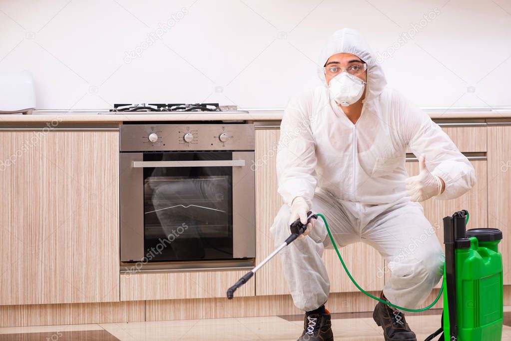 Professional contractor doing pest control at kitchen