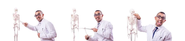 Funny doctor with skeleton isolated on white — Stock Photo, Image