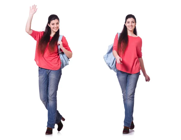 Young female student isolated on the white — Stock Photo, Image