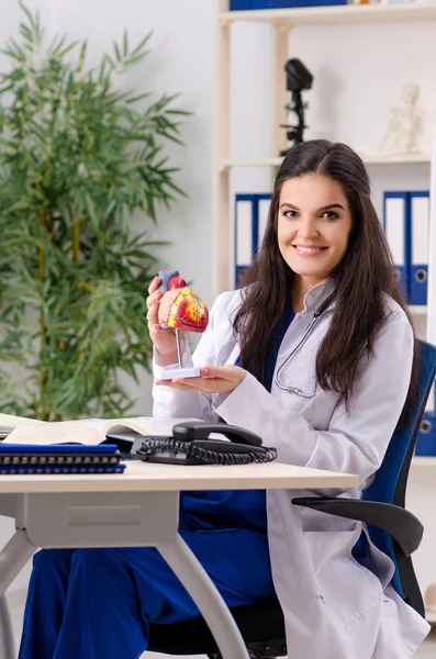 Cardióloga doctora que trabaja en la clínica — Foto de Stock