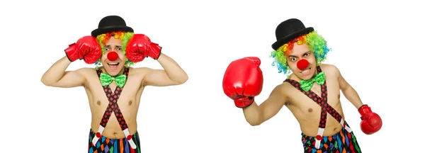 Palhaço com luvas de boxe isolado no branco — Fotografia de Stock