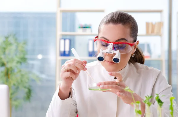 Química cientista biotecnológica do sexo feminino que trabalha no laboratório — Fotografia de Stock