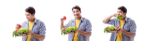 Hombre con cesta de frutas y verduras — Foto de Stock
