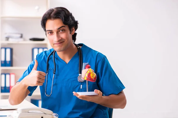 Giovane bel dottore che lavora in clinica — Foto Stock