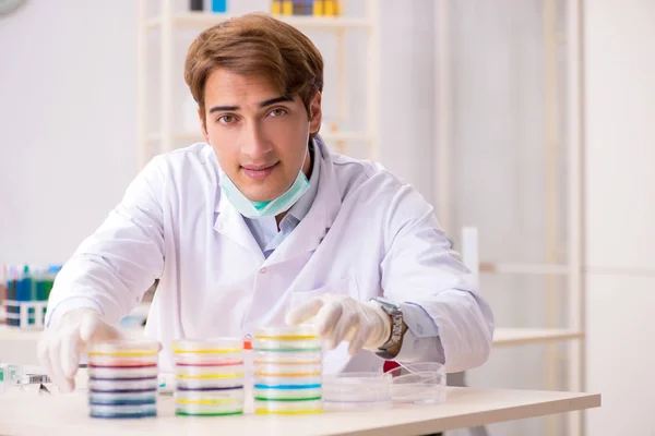 Jonge chemicus werkt in het lab — Stockfoto