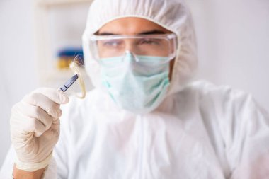 Laboratuarda çalışan genç uzman kriminoloji uzmanı 
