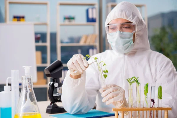 Hombre biotecnológico científico químico que trabaja en el laboratorio —  Fotos de Stock