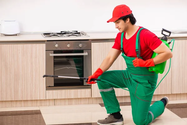 Professioneller Bauunternehmer erledigt Schädlingsbekämpfung in der Küche — Stockfoto