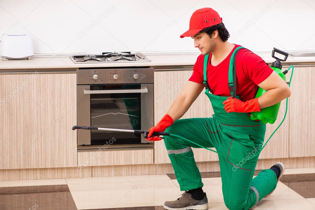 Professional contractor doing pest control at kitchen