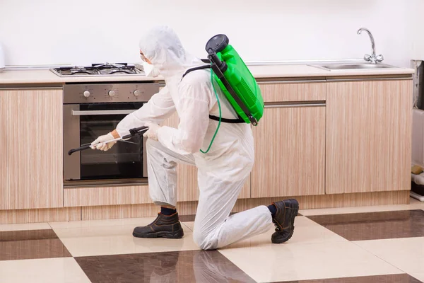 キッチンで害虫駆除を行う専門の業者 — ストック写真