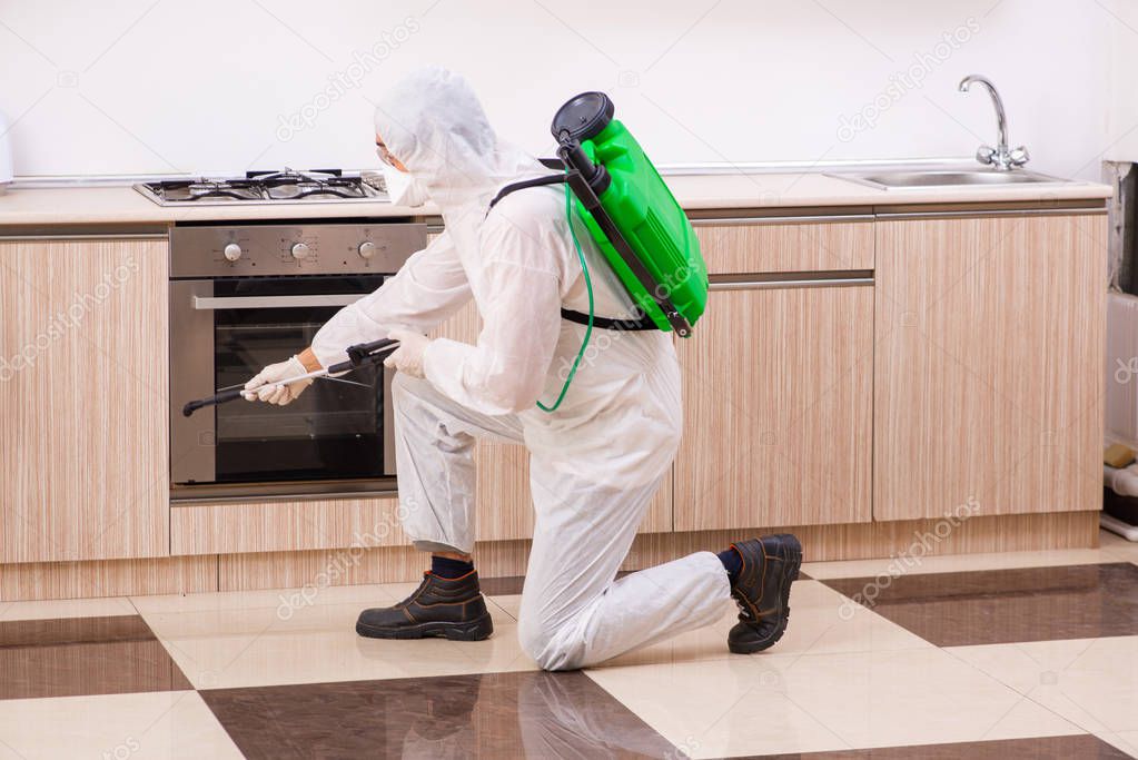 Professional contractor doing pest control at kitchen