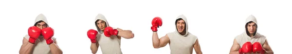 Koncepcja boks z młodego sportowca — Zdjęcie stockowe