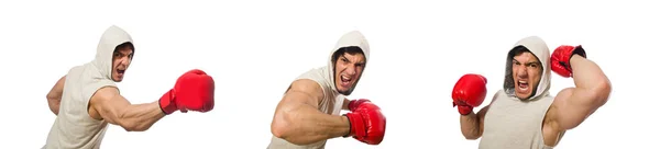 Boxing concept with young sportsman — Stock Photo, Image