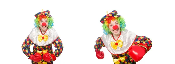 Clown met bokshandschoenen geïsoleerd op wit — Stockfoto