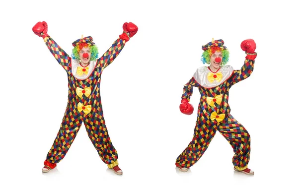 小丑，头戴拳击手套，白色隔离 — 图库照片