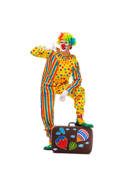Clown maschio isolato su bianco — Foto Stock