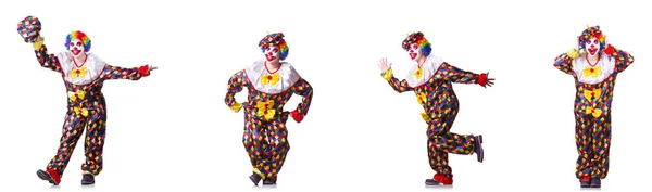 Rolig manlig clown isolerad på vitt — Stockfoto