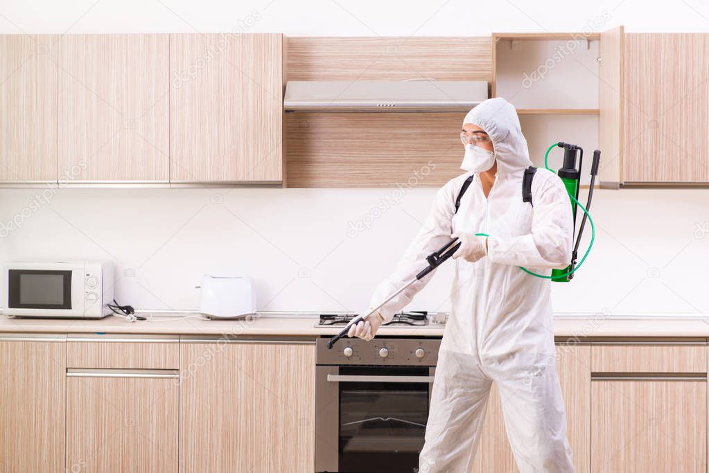 Professional contractor doing pest control at kitchen