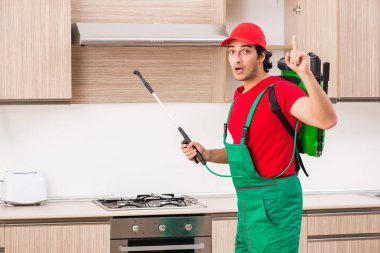 Profesyonel yüklenici mutfak at haşere kontrolü yapıyor