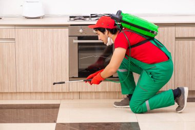 Profesyonel yüklenici mutfak at haşere kontrolü yapıyor