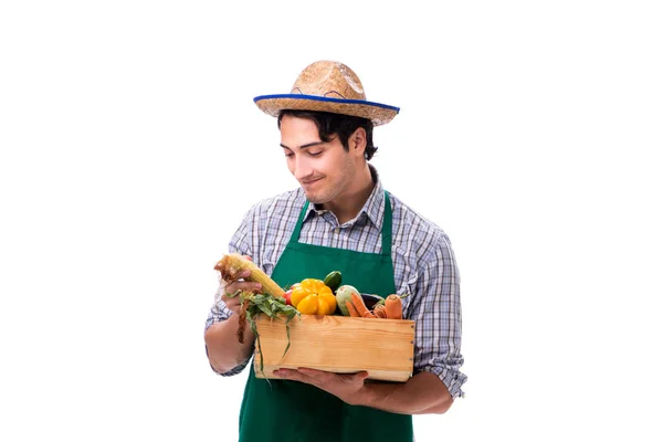 Jovem agricultor com produtos frescos isolados sobre fundo branco — Fotografia de Stock