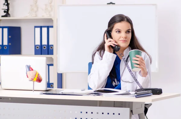 Doctora que trabaja en la clínica — Foto de Stock