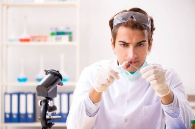Erkek böcekbilimci laboratuvarda yeni türler üzerinde çalışıyor.