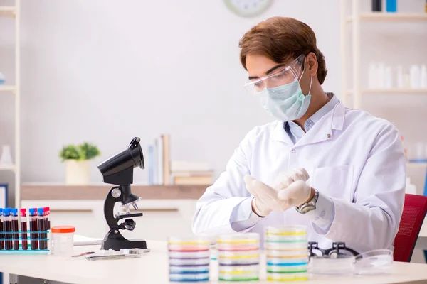 Giovane chimico che lavora in laboratorio — Foto Stock