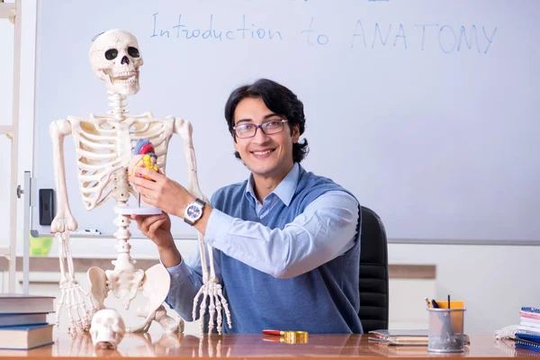 Jovem professor professor de anatomia do ensino — Fotografia de Stock