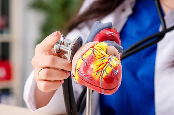 Médica cardiologista trabalhando na clínica — Fotografia de Stock