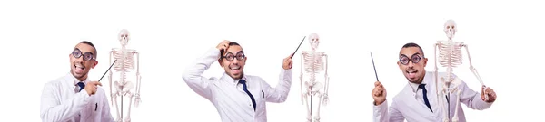 Doctor Divertido Con Esqueleto Aislado Blanco — Foto de Stock