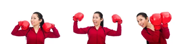 Boxer femme isolé sur le blanc — Photo