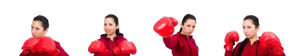 Woman boxer isolated on the white — Stock Photo, Image