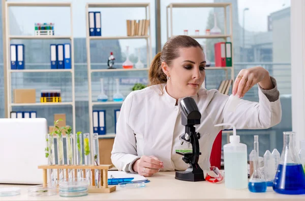 Química cientista biotecnológica do sexo feminino que trabalha no laboratório — Fotografia de Stock