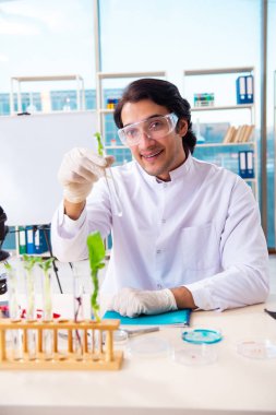 Laboratuarda çalışan erkek biyoteknoloji bilim adamı kimyacı