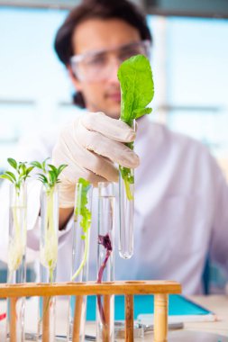 Laboratuarda çalışan erkek biyoteknoloji bilim adamı kimyacı