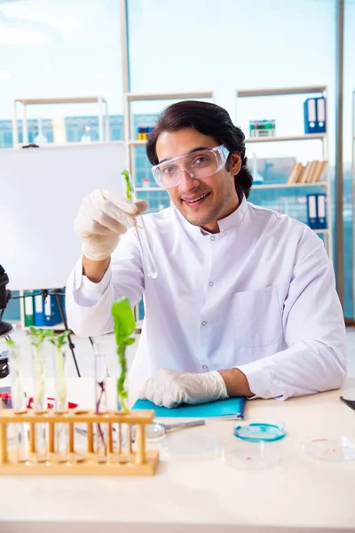 Männlicher Biotechnologie-Wissenschaftler Chemiker im Labor — Stockfoto