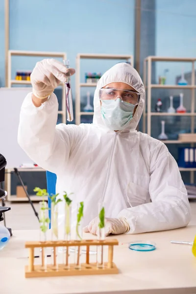 Químico cientista de biotecnologia do sexo masculino que trabalha no laboratório — Fotografia de Stock