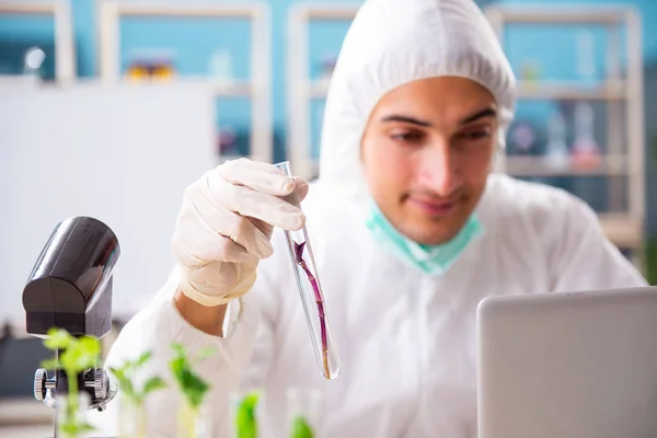 Male biotechnologiích vědec chemik pracující v laboratoři — Stock fotografie