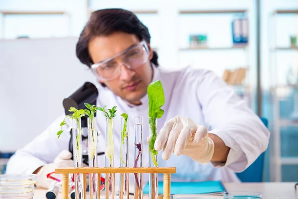 Male biotechnology scientist chemist working in the lab — Stock Photo, Image